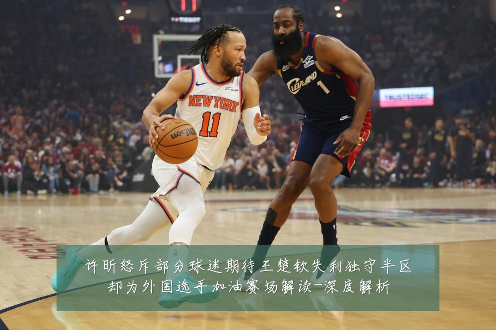 许昕怒斥部分球迷期待王楚钦失利独守半区却为外国选手加油赛场解读-深度解析