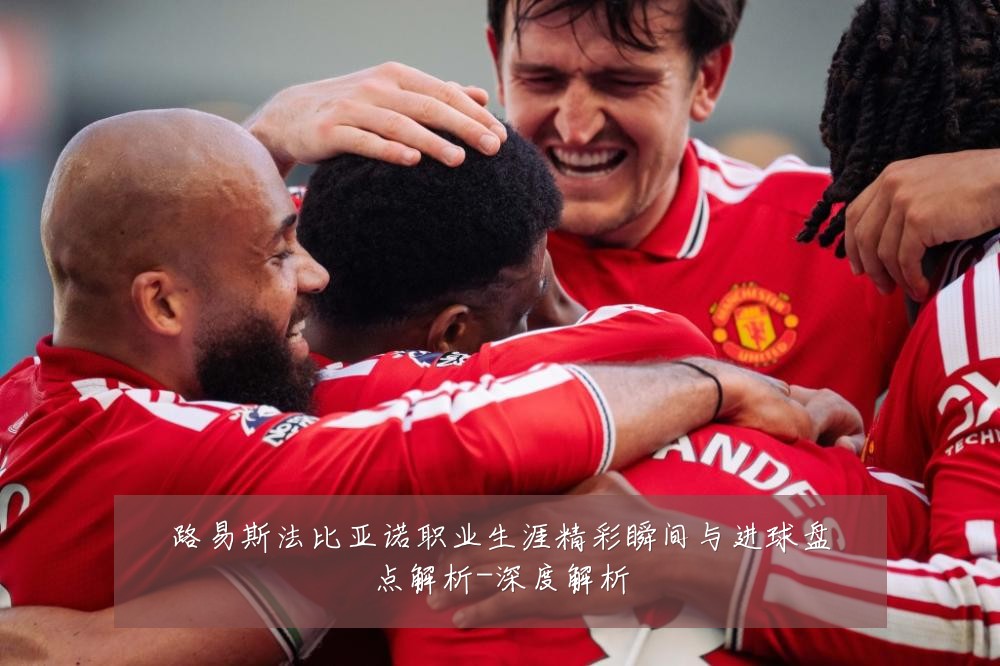 路易斯法比亚诺职业生涯精彩瞬间与进球盘点解析-深度解析