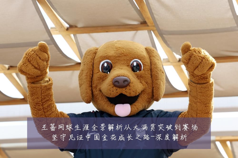 王蔷网球生涯全景解析从大满贯突破到赛场坚守见证中国金花成长之路-深度解析